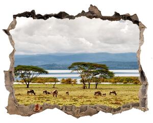 Nálepka fototapeta 3D výhled Jezero Naivasha nd-k-60219348