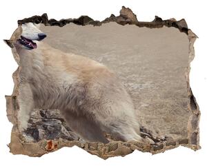 Díra 3D fototapeta na stěnu Bílý vlk na skále nd-k-60381309