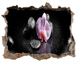 Samolepící díra na stěnu nálepka Orchidej nd-k-60629892