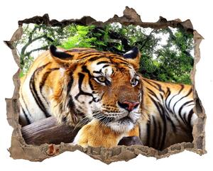Díra 3D fototapeta na stěnu Tygr na skále nd-k-61968911