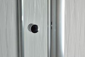Jednokřídlé sprchové dveře do niky MOON 75 - 80 cm čiré sklo