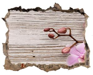 Samolepící díra na stěnu Orchidej na stromě nd-k-62495656