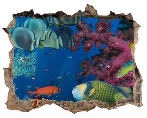 Díra 3D fototapeta na stěnu Korálový útes nd-k-64308436