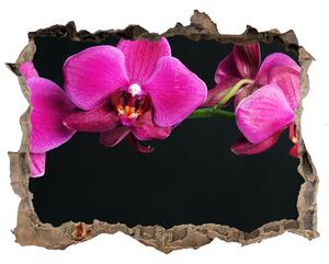 Samolepící díra nálepka Orchidej nd-k-64284743