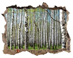 Nálepka fototapeta 3D výhled Břízový les nd-k-64516023