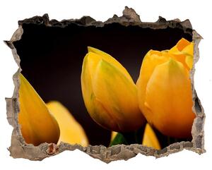 Samolepící díra nálepka Žluté tulipány nd-k-64836622