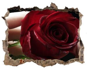 Fotoobraz díra na stěnu Žena s růží nd-k-6668624