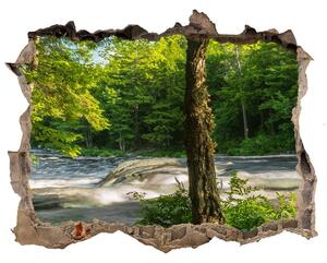Nálepka fototapeta 3D výhled Řeka v lese nd-k-66915556