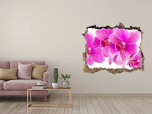 Samolepící díra nálepka Růžová orchidej nd-k-67673367