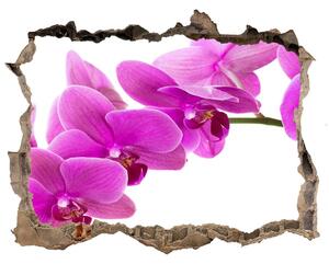 Samolepící díra nálepka Růžová orchidej nd-k-67691978