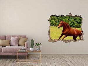 Díra 3D fototapeta na stěnu Kůň na louce nd-k-68119926