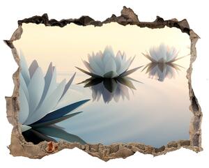 Samolepící díra na stěnu Květy lotosu nd-k-68298321