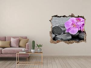 Samolepící díra na stěnu Orchidej kamení nd-k-69189175