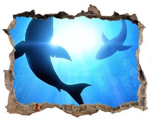 Díra 3D fototapeta nálepka Dva žraloci nd-k-69178156