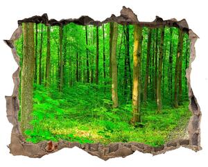 Samolepící díra nálepka Stromy v lese nd-k-69570264