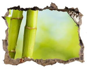 Samolepící díra nálepka Bambus a motýl nd-k-69817087