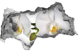 Samolepící nálepka fototapeta Orchidej nd-b-103920801
