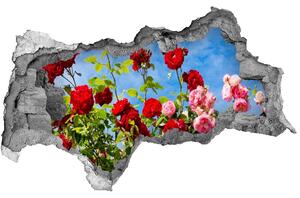Samolepící nálepka na zeď Divoké růže nd-b-104021490