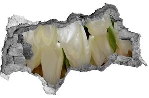 Samolepící nálepka fototapeta Bílé tulipány nd-b-104686883