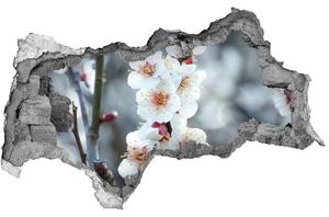 Samolepící nálepka fototapeta Květy višně nd-b-104952401