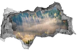 Fototapeta díra na zeď Mlha v lese nd-b-104886541