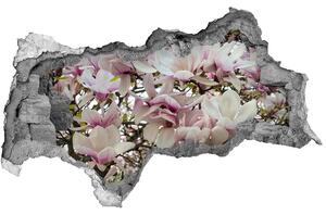Samolepící nálepka fototapeta Květy magnolie nd-b-107287859