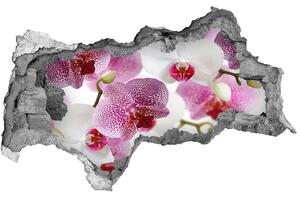 Fototapeta nálepka na zeď Fototapeta orchidej nd-b-107506962