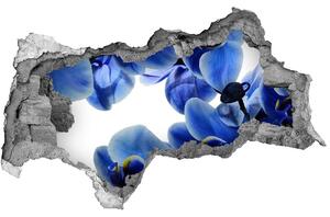 Fototapeta nálepka na zeď Modrá orchidej nd-b-108719239