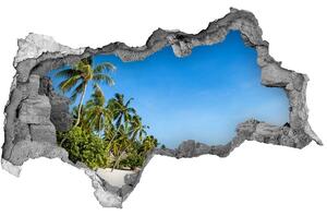 Díra 3D ve zdi nálepka Pláš Karibské ostrovy nd-b-112295720