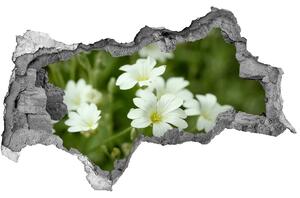 Samolepící nálepka na zeď Jarní květiny nd-b-112767766