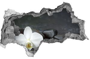 Samolepící nálepka fototapeta Orchidej nd-b-113617594