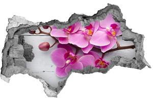 Samolepící nálepka Orchidej na stromě nd-b-118409675