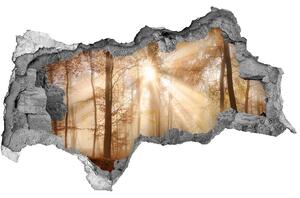 Díra 3D ve zdi nálepka Mlha v lese podzim nd-b-119225469