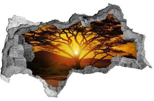 Díra 3D ve zdi nálepka Západ slunce Afrika nd-b-12172283