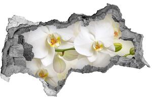 Samolepící nálepka fototapeta Orchidej nd-b-123330197
