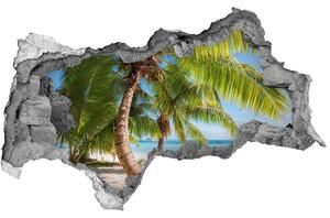 Díra 3D ve zdi na stěnu Tropická pláž nd-b-126132906