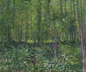 Obrazová reprodukce Trees and Undergrowth, 1887, Vincent van Gogh