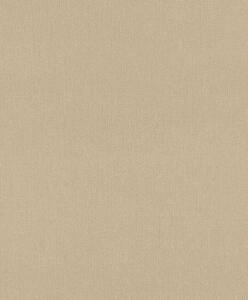 RASCH | Vliesová tapeta na zeď Deco Style 312416 | 0,53 x 10,05 m | hnědá