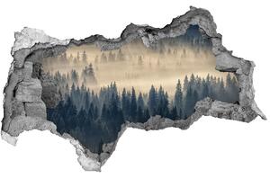 Díra 3D ve zdi nálepka Mlha nad lesem nd-b-134224571