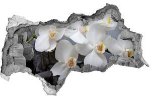 Samolepící nálepka fototapeta Orchidej nd-b-143985624