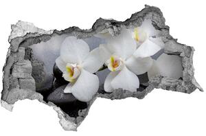 Samolepící nálepka fototapeta Orchidej nd-b-144310520