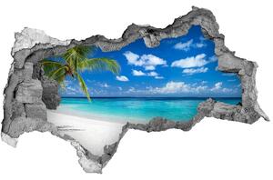 Díra 3D ve zdi nálepka Tropická pláž nd-b-151547263