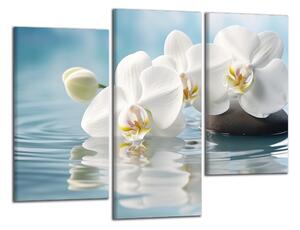Obraz na plátně Bílé orchideje ve vodě