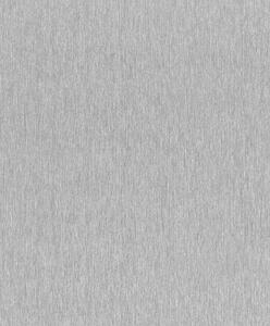 RASCH | Vliesová tapeta na zeď Incanto 608670 | 0,53 x 10,05 m | metalická