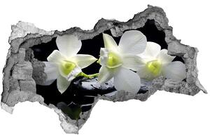 Samolepící nálepka fototapeta Orchidej nd-b-28908662