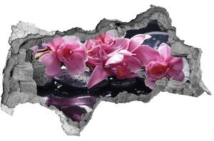 Samolepící nálepka na zeď Růžová orchidej nd-b-28903356