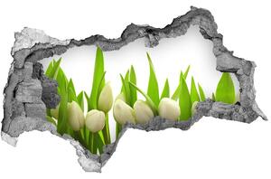 Samolepící nálepka na zeď Bílé tulipány nd-b-40774643
