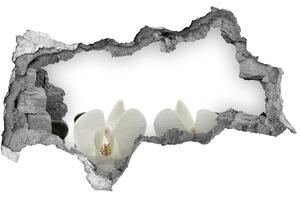Samolepící díra na stěnu nálepka Orchidej nd-b-49248021