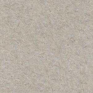 RASCH | Vliesová tapeta na zeď Schöner Wohnen 600988 | 0,53 x 10,05 m | šedá, zlatá