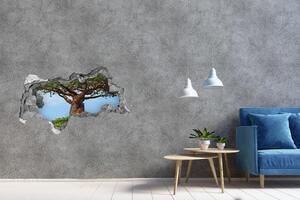 Samolepící díra na stěnu nálepka Baobab nd-b-61073116